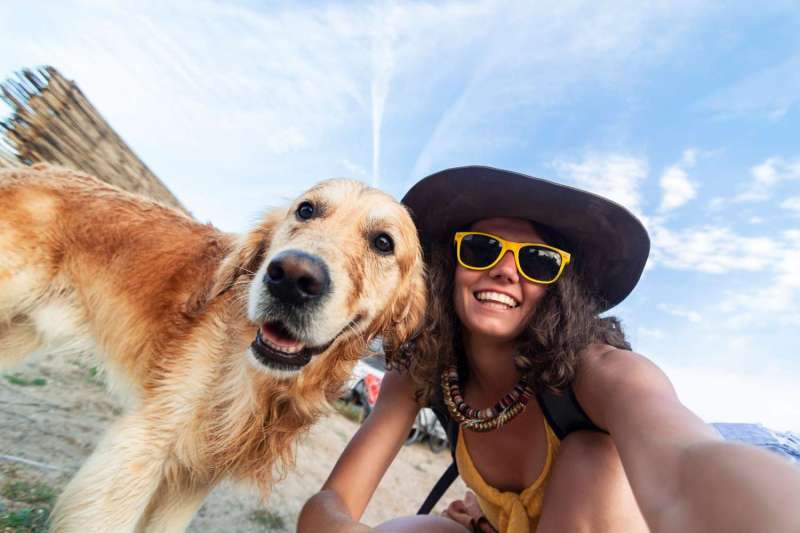 Best Dog Friendly Beach Vacations