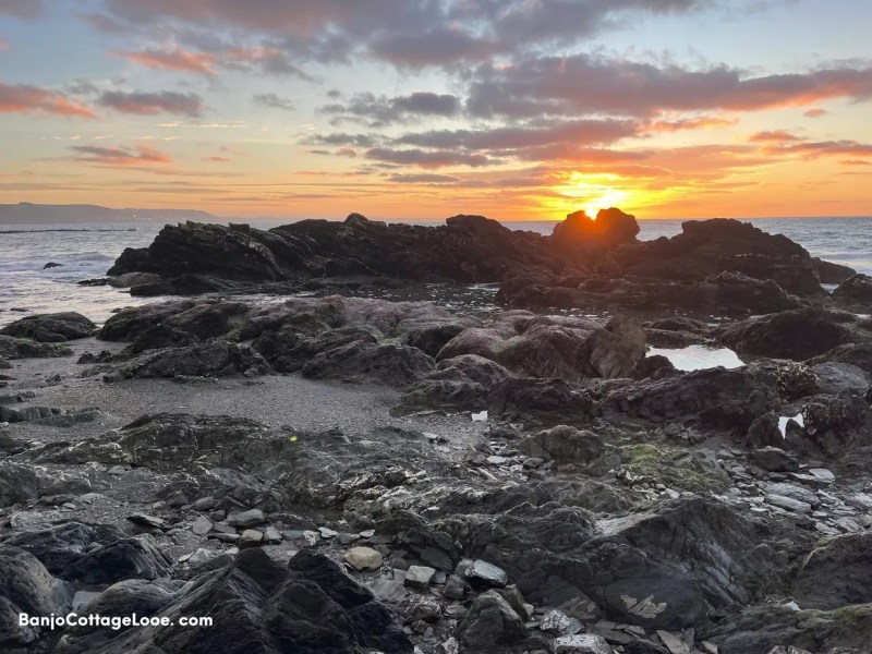 Best Dog Friendly Beaches Near Looe