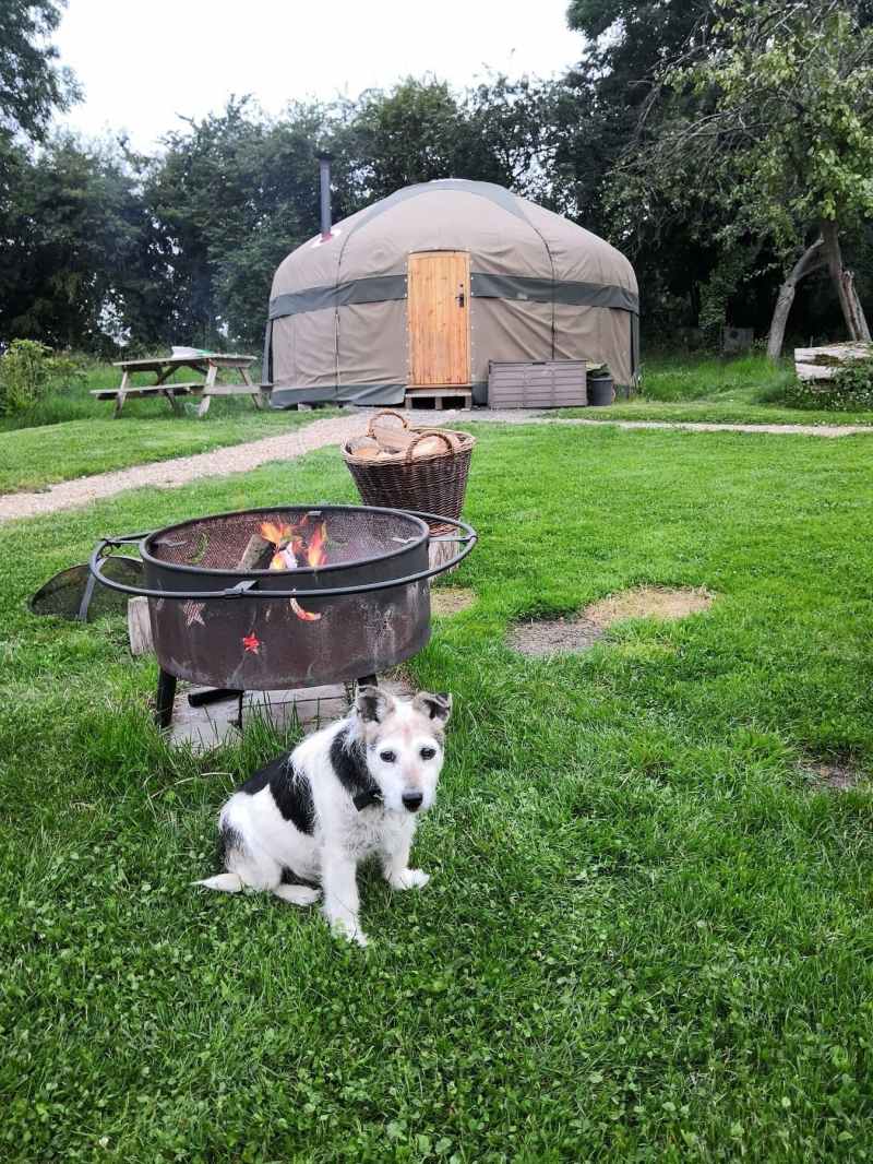 Best Dog Friendly Glamping Uk