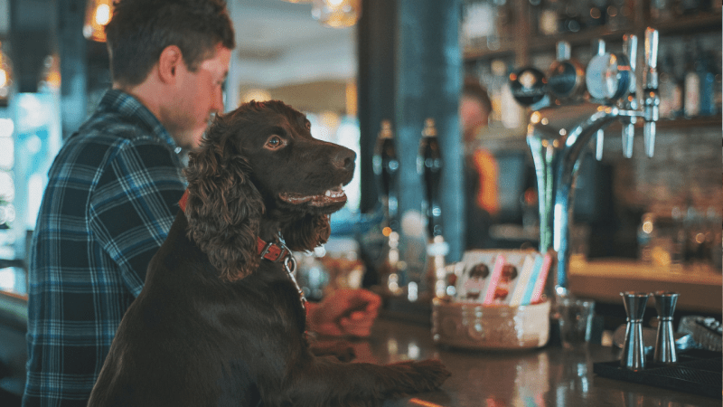 Best Dog Friendly Restaurants London