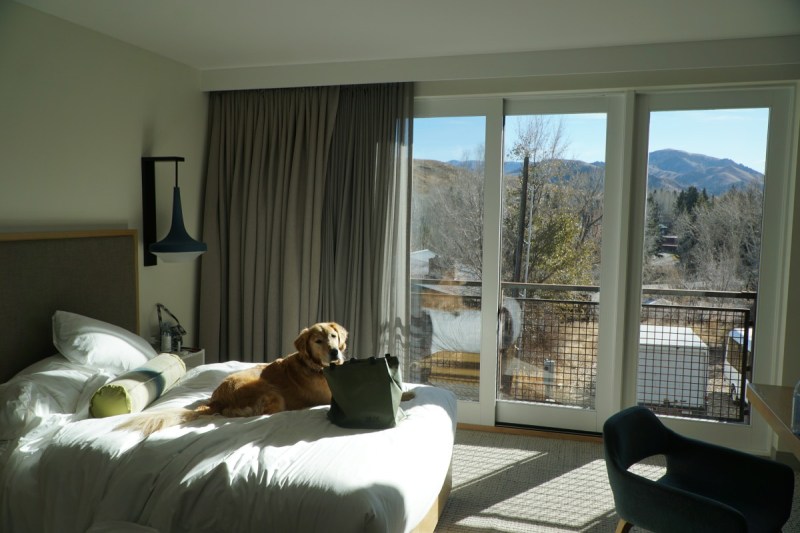 Best Dog Friendly Ski Resorts