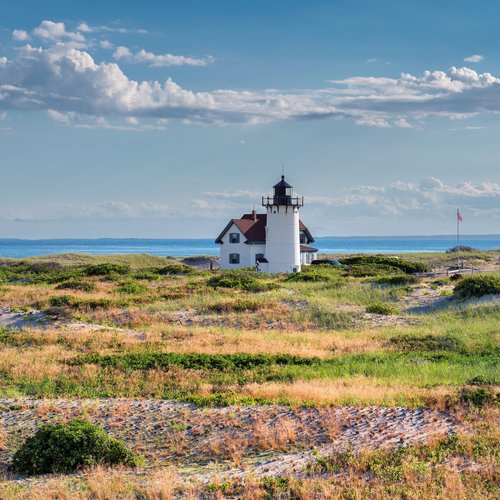 Best New England Vacations With Dogs