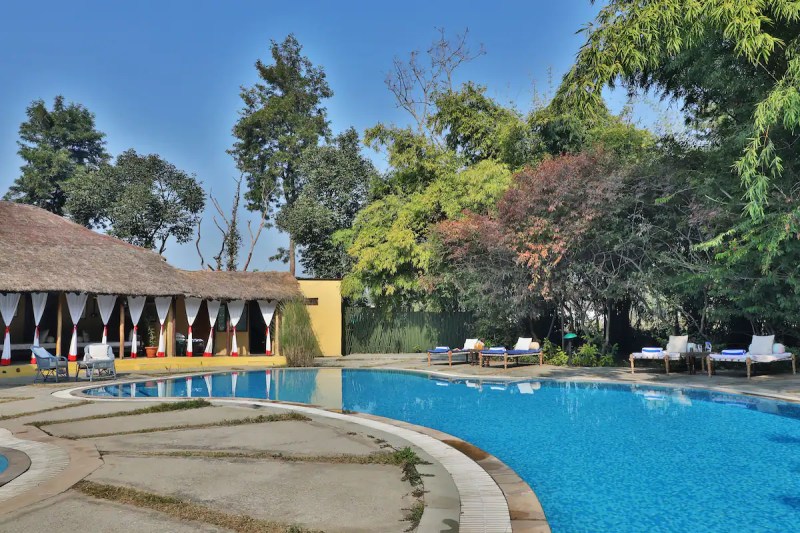 Best Pet Friendly Resorts In Jim Corbett