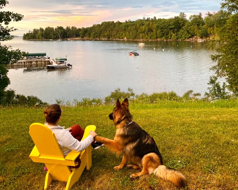 Best Vacations With Dogs