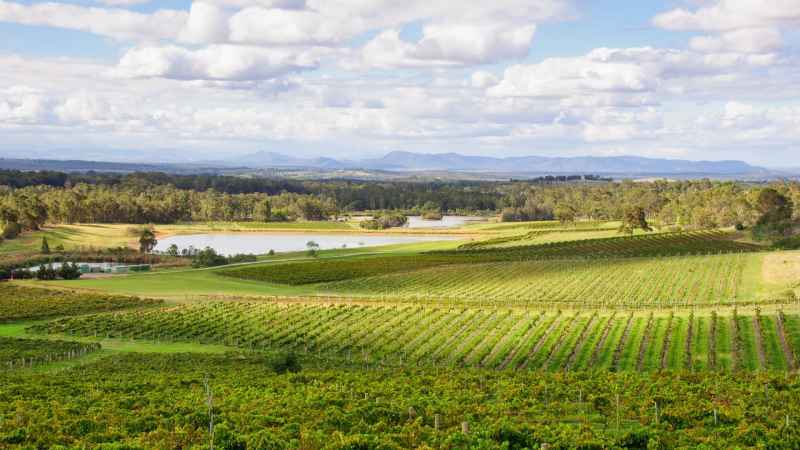 Best Wineries To Visit In Hunter Valley