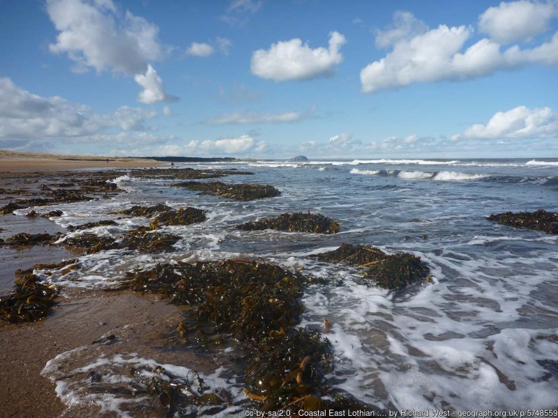 Dog Friendly Beaches East Lothian