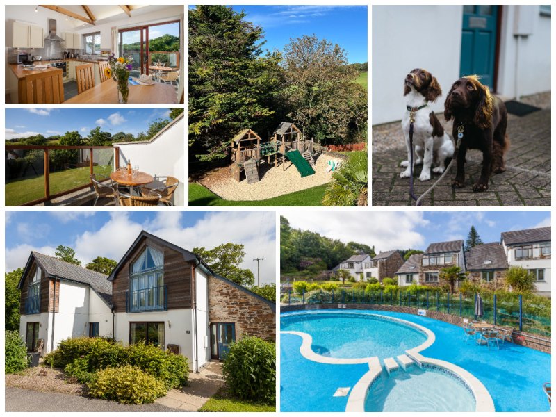 Dog Friendly Holidays Devon And Cornwall