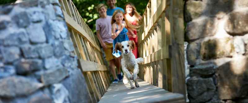 Dog Friendly Holidays East Anglia