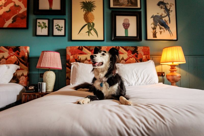 Dog Friendly Hotels East Yorkshire