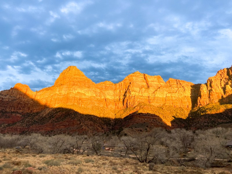 Dog Friendly Lodging Zion National Park