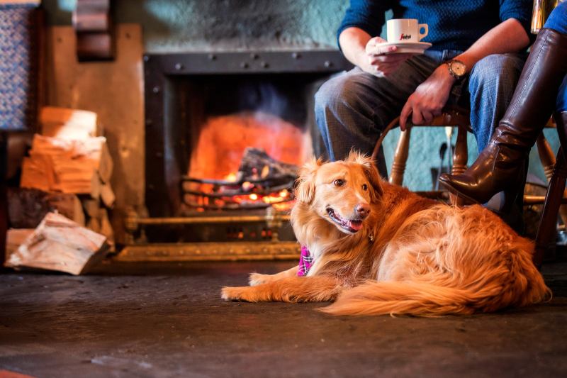 Dog Friendly Pubs For Breakfast Near Me