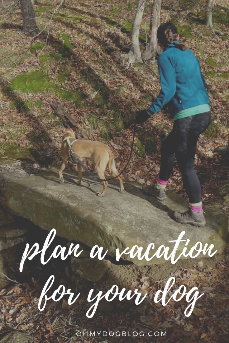 Dog Friendly Vacations Near Me