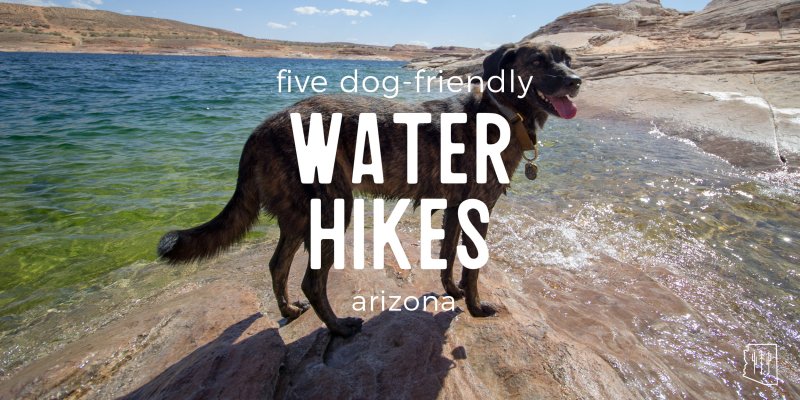 Good Dog Friendly Hikes Near Me