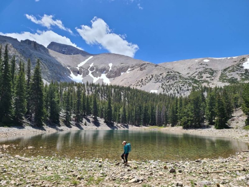 Best Day Hikes In Olympic National Park