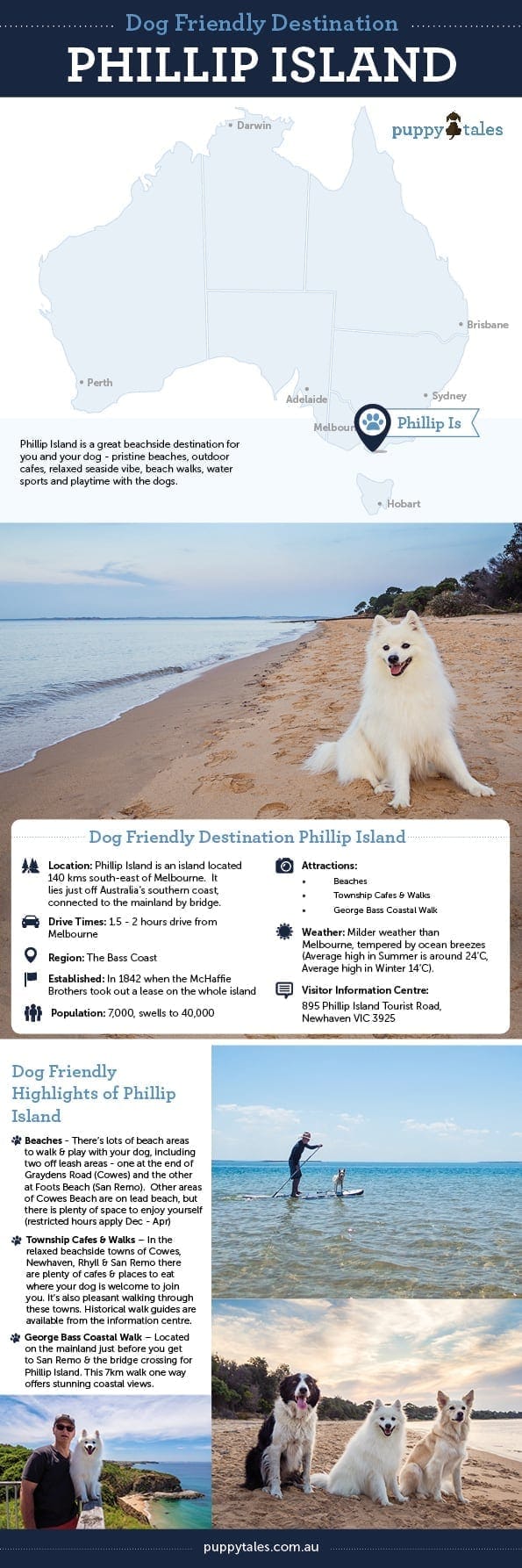 Best Dog Friendly Day Trips Brisbane