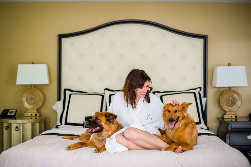 Best Dog Friendly Hotel Chains