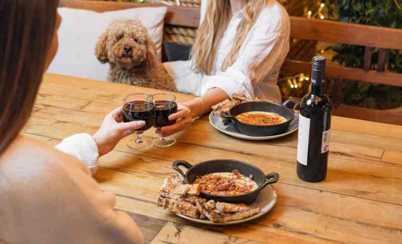 Best Dog Friendly London Restaurants