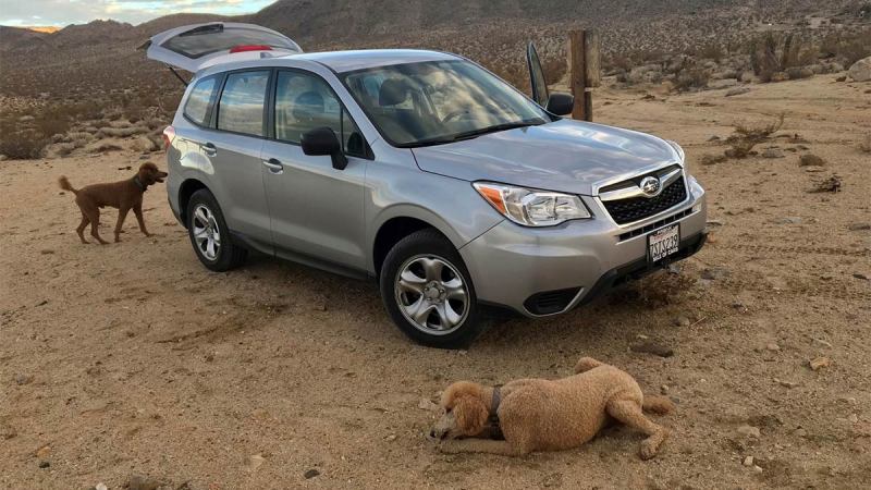 Best Dog Friendly Suv