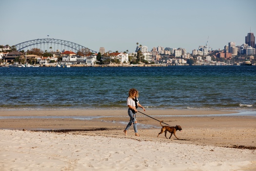 Best Dog Friendly Walks Sydney