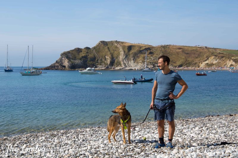 Dog Friendly Holidays Dorset