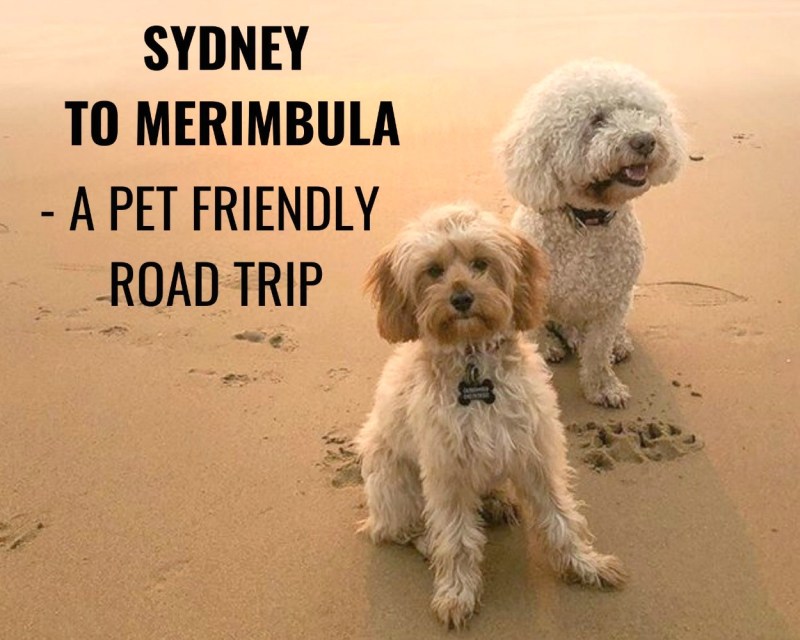 Dog Friendly Motel Goulburn