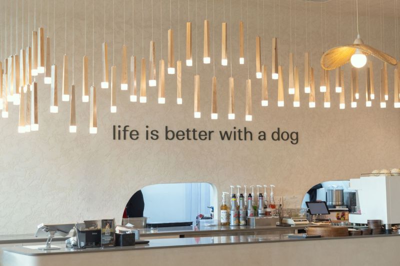 Dog Friendly Restaurants And Bars Near Me