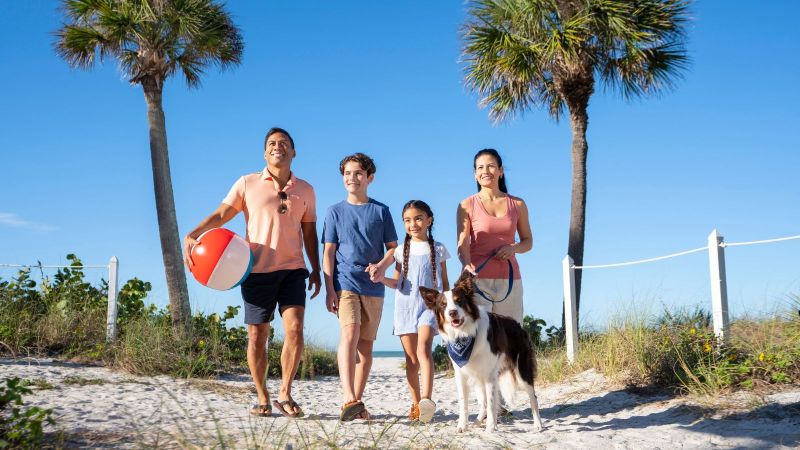 Dog Friendly Vacations In Us