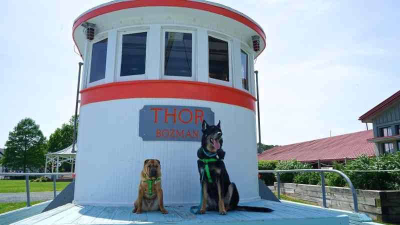 Dog Friendly Vacations Maryland