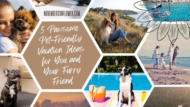 Dog Vacation Ideas