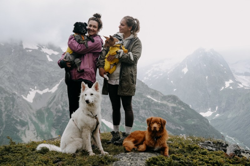 Hiking Vacations With Dogs