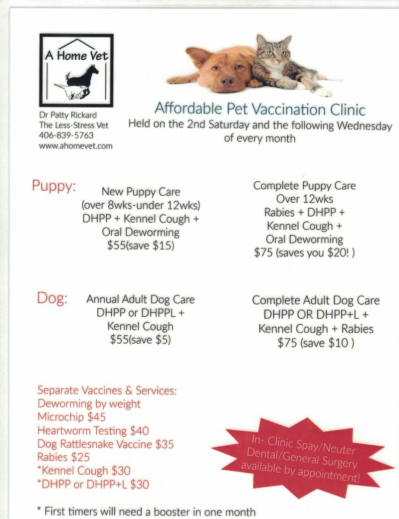 Low Cost Pet Vaccines Near Me Today