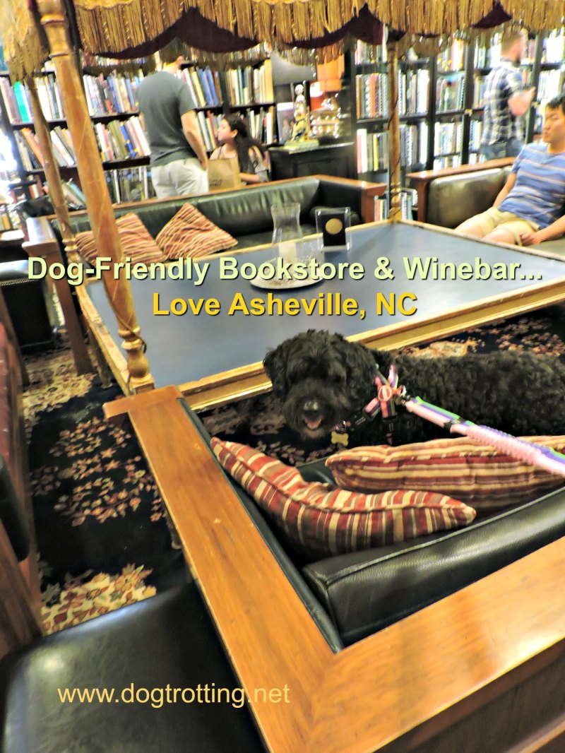 Pet Friendly Lodging Asheville Nc