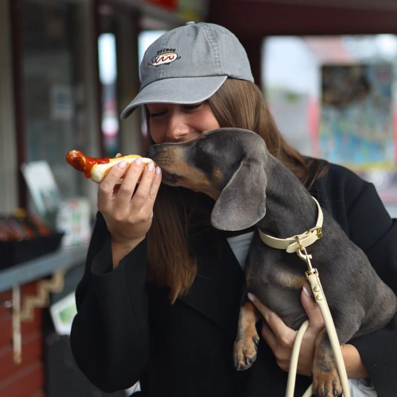 Restaurant With Dog Friendly Patio Near Me