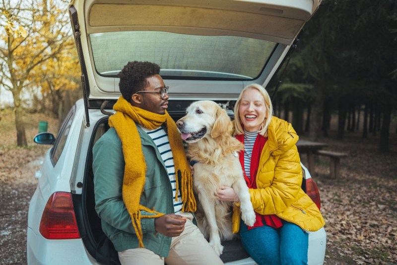 Vacation Ideas For Couples With Dogs