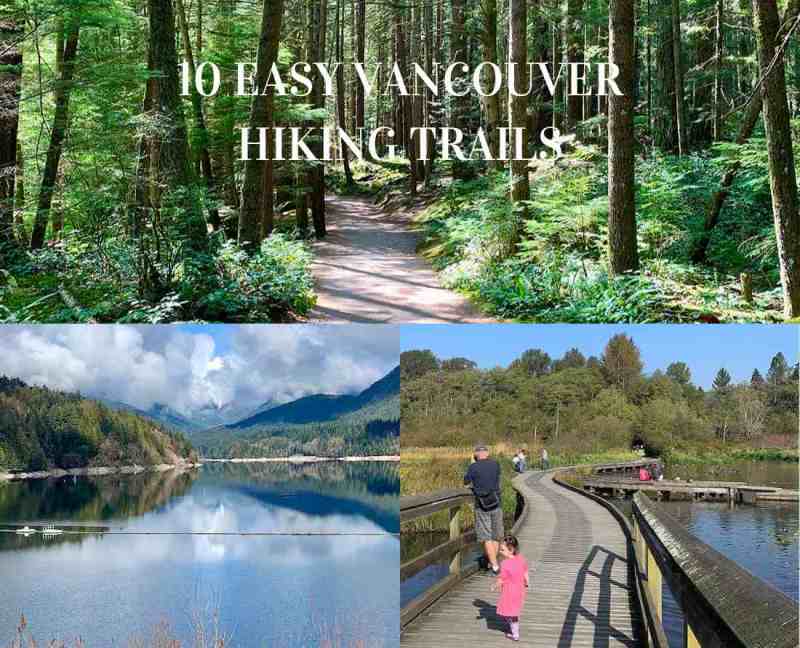 Best Dog Friendly Hikes Vancouver